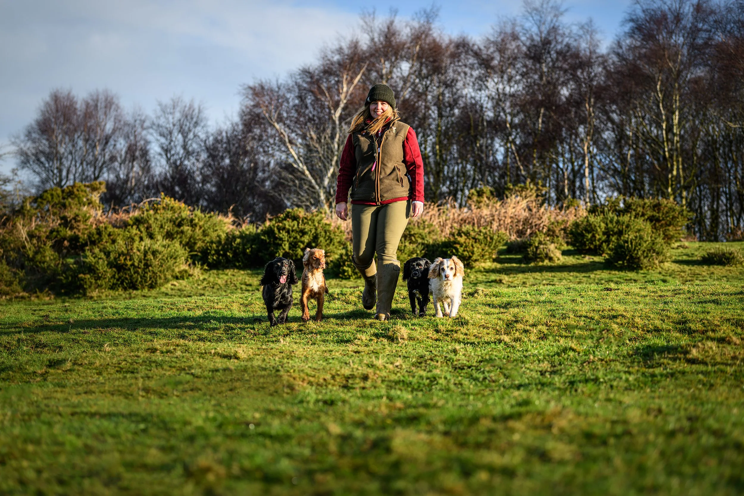 Coat Colours in Working Cocker Spaniels
