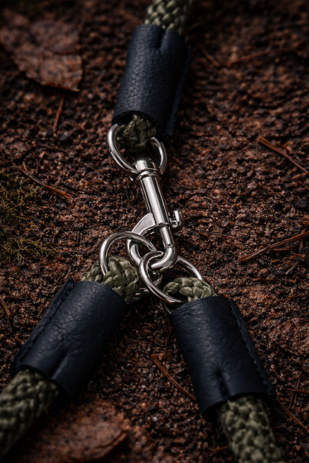 2 dog slip lead clasp