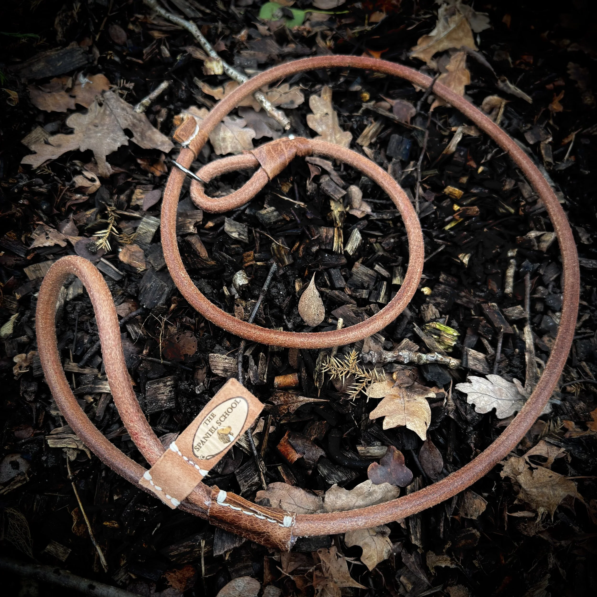 Rolled Leather Slip Lead