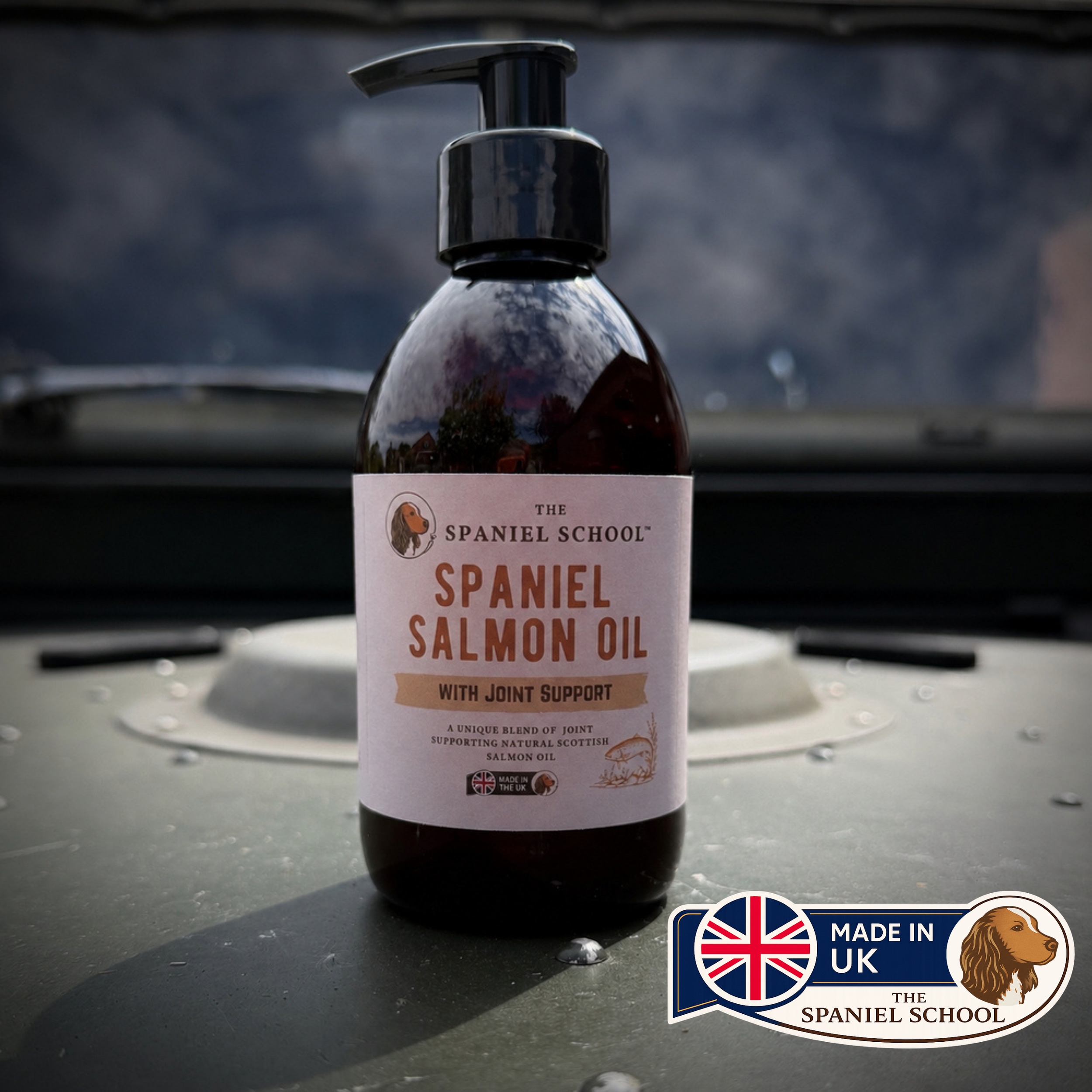Salmon Oil with Joint Support