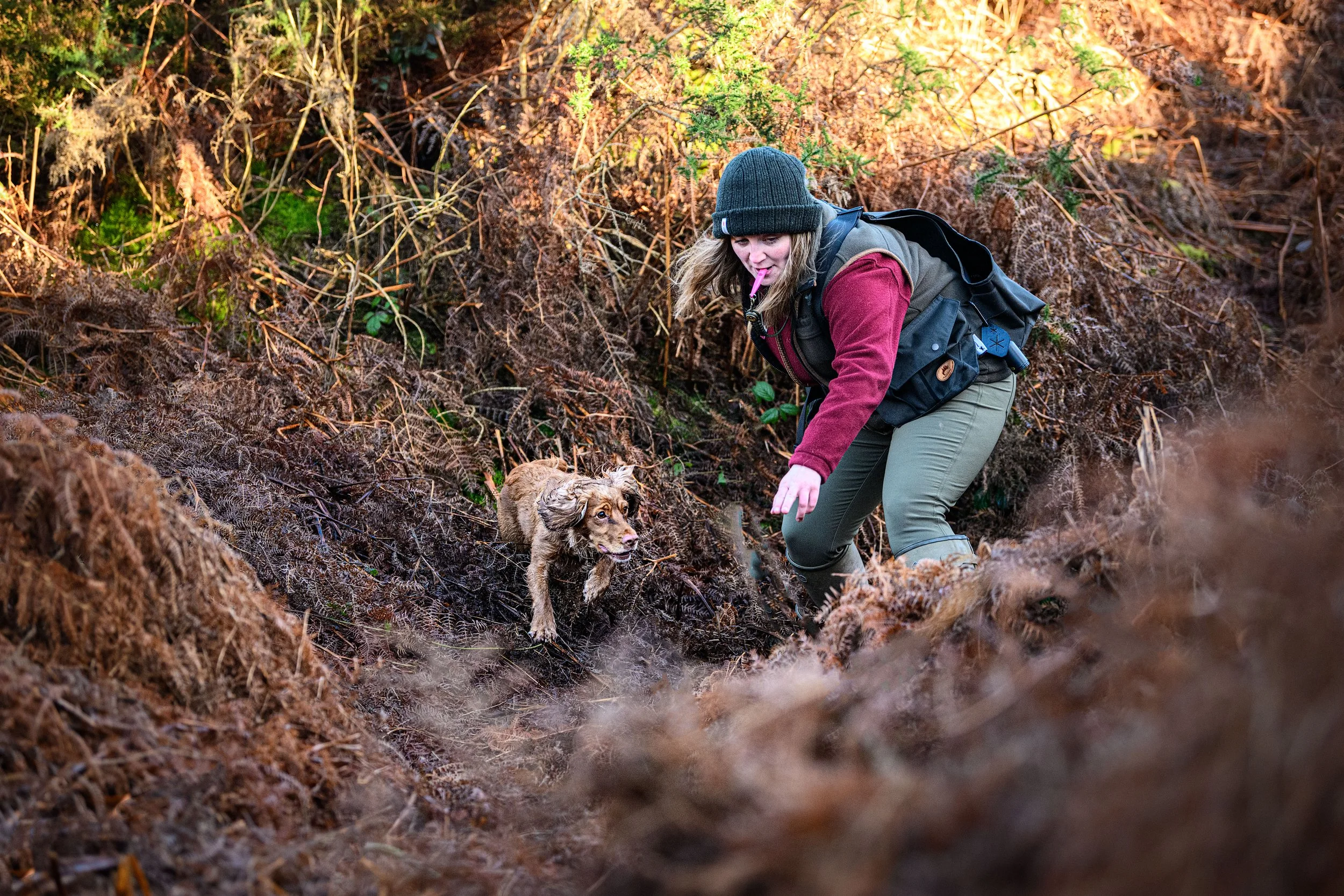 A woman in outdoor clothing with a backpack and beanie is hiking through a wooded area with a dog, navigating a steep, leaf-covered terrain.