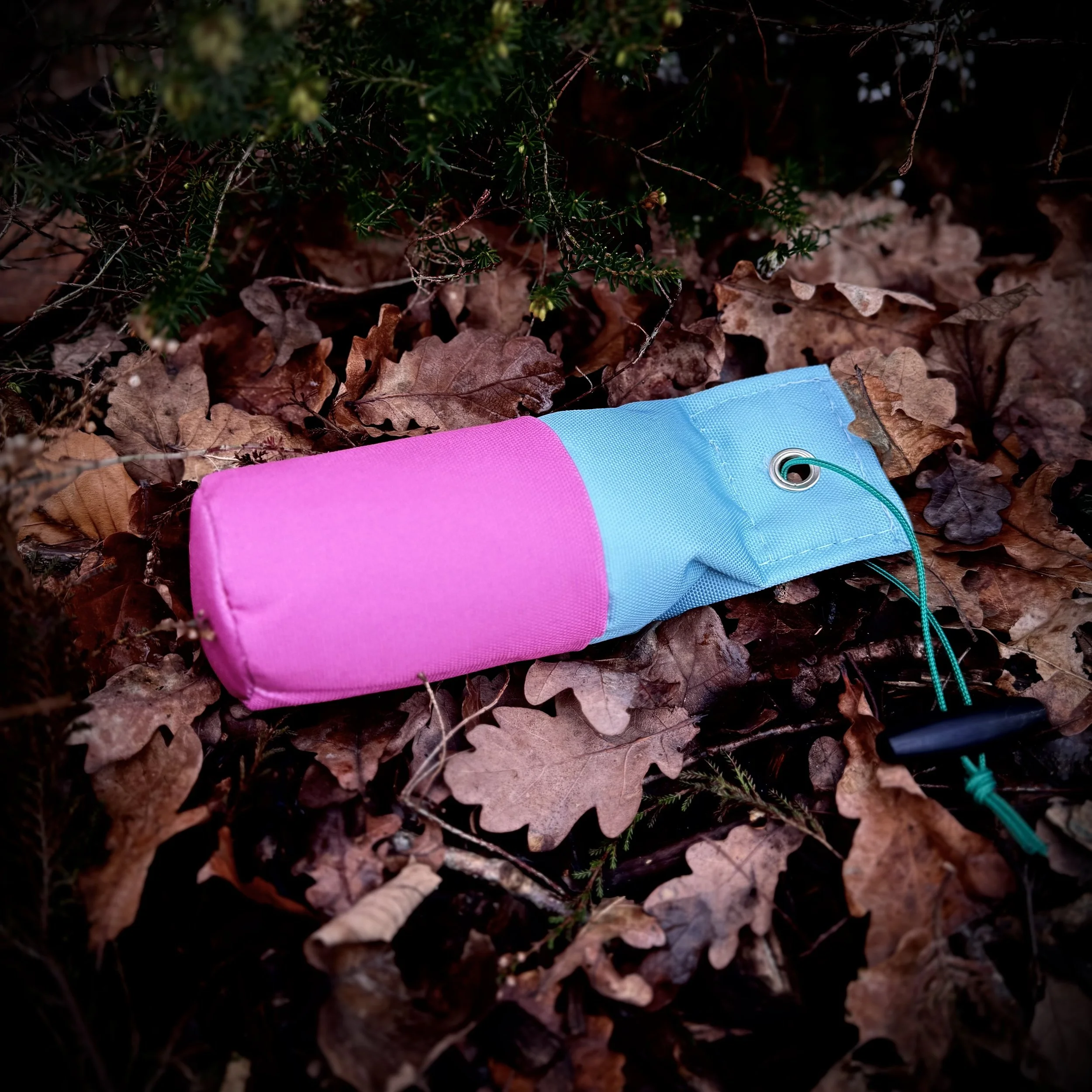 pink & blue dummy.jpg