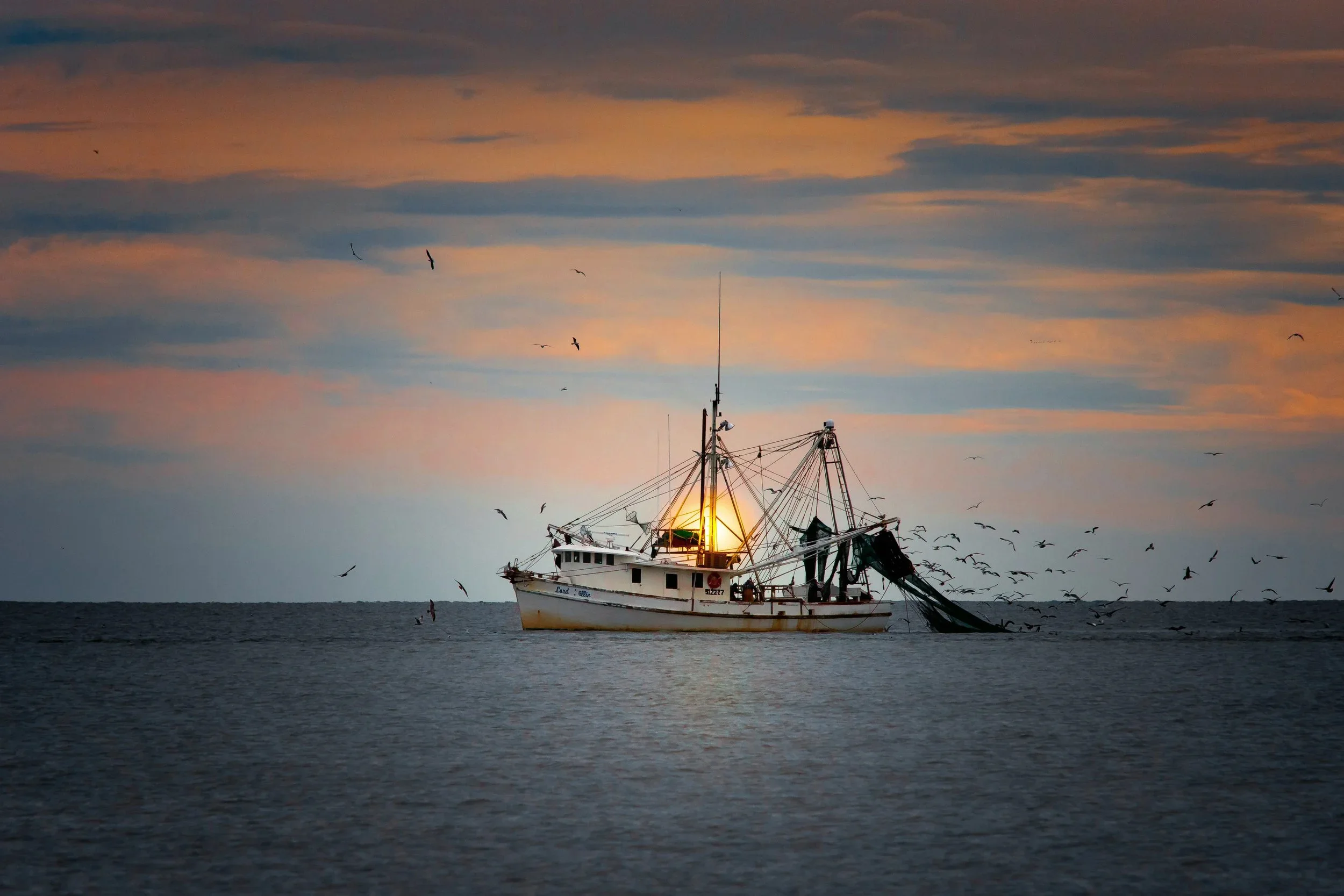 Fishing boat at sunrise surrounded by seagulls