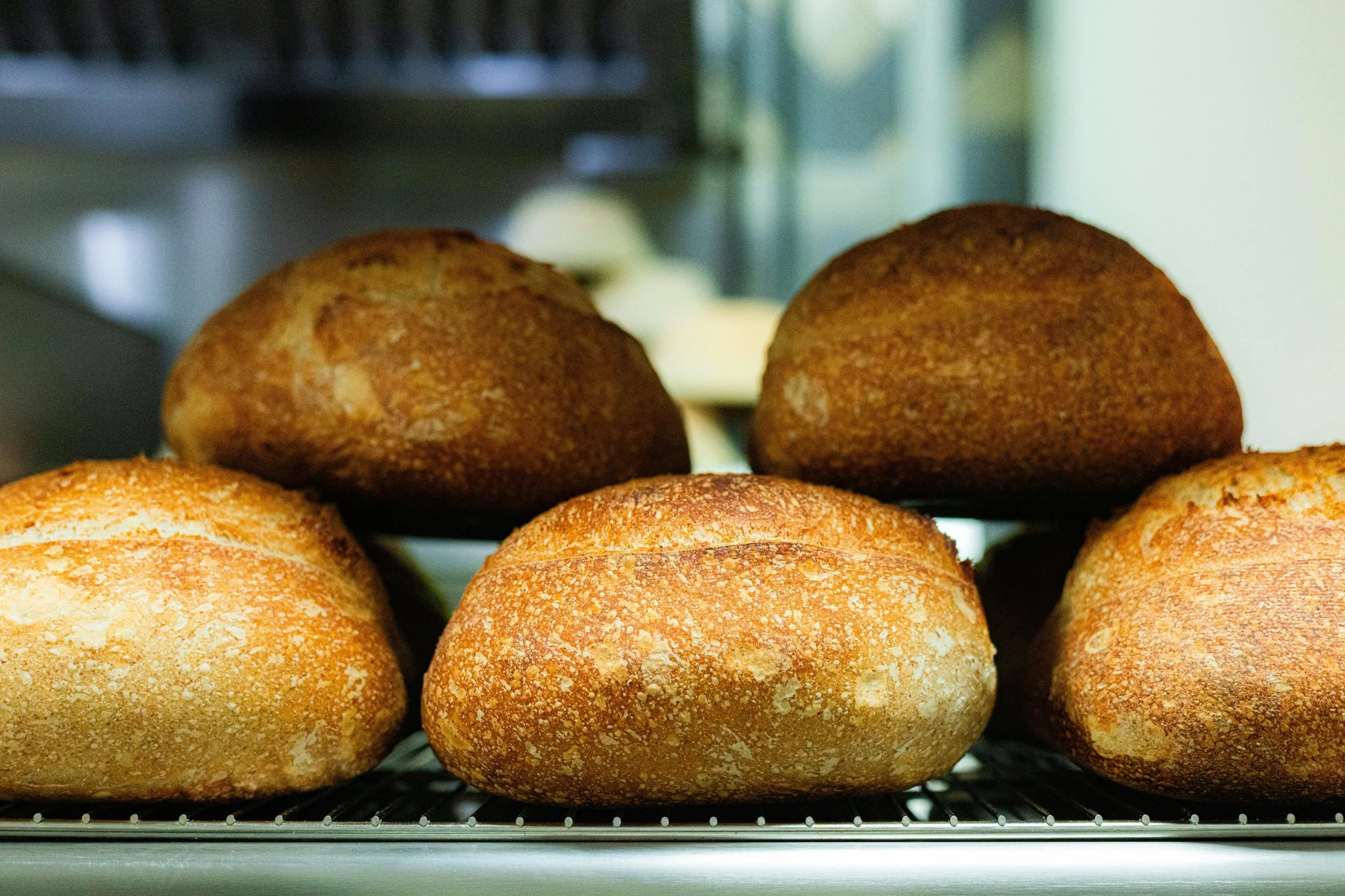 Bread rolls on a rack