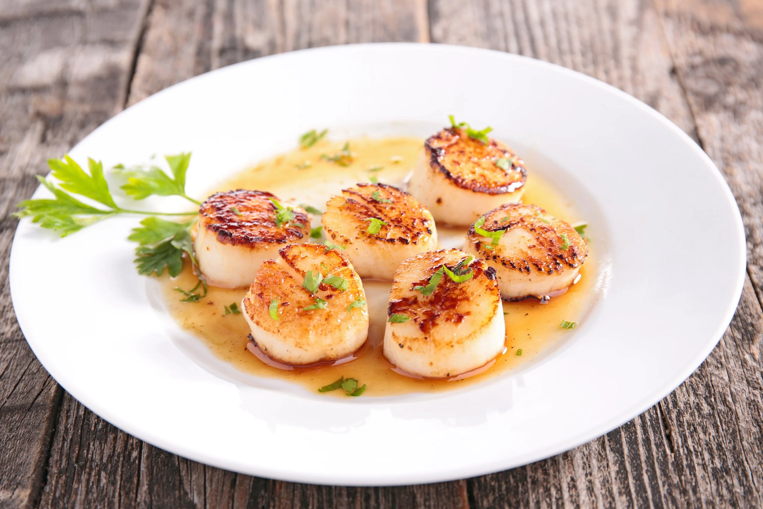Seared scallops on a plate with light lemon butter sauce