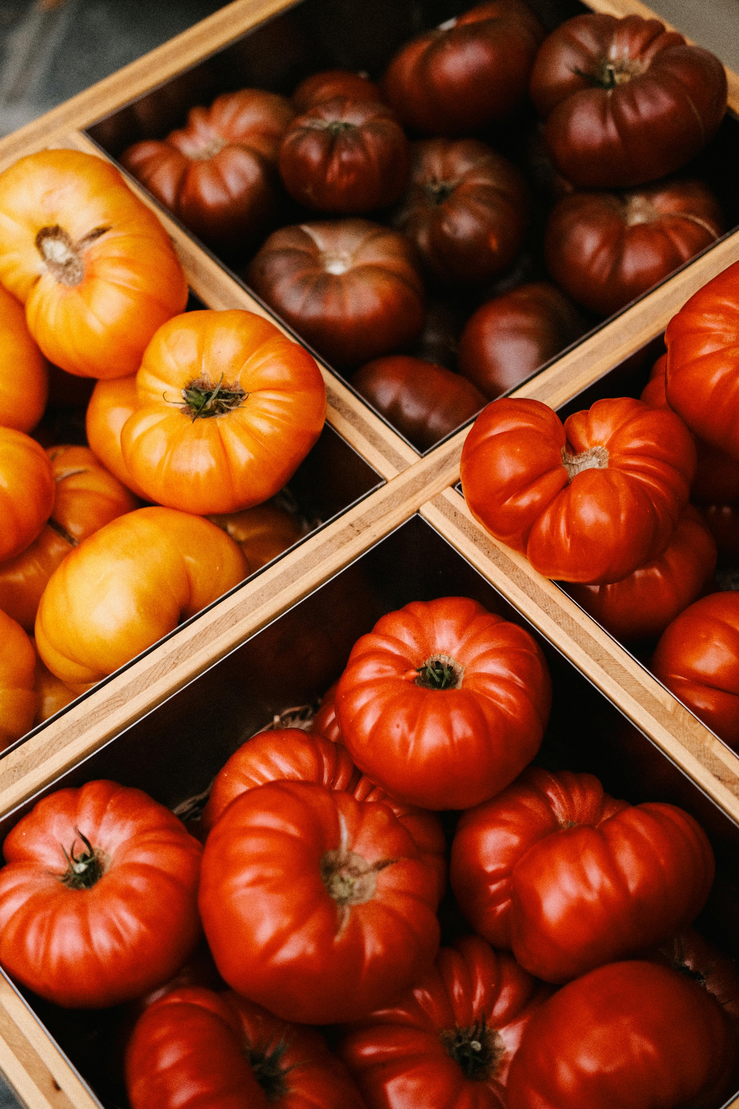 Four bins of heirloom tomatoes in different colors