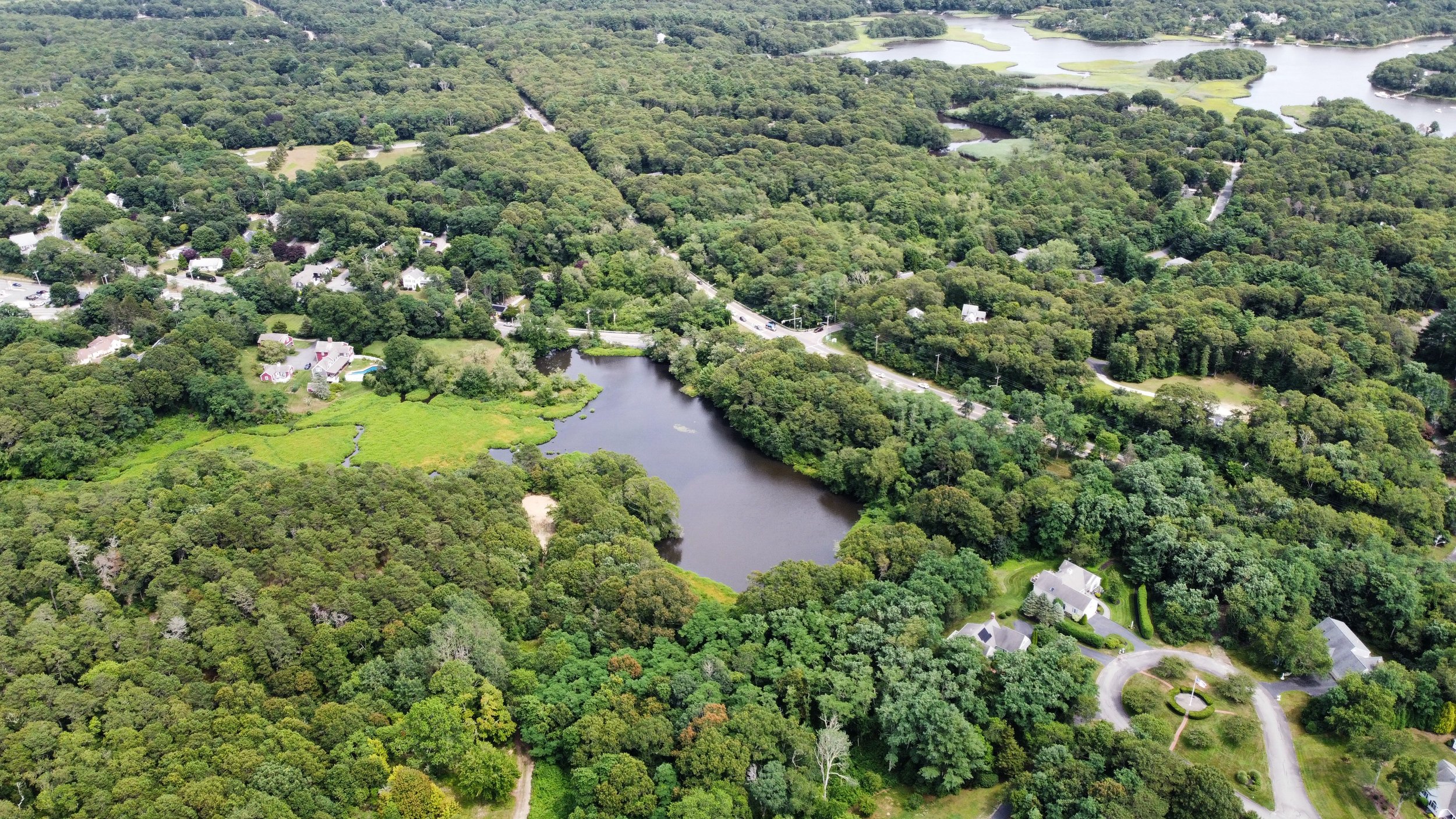 Aerial view of a lush, green residential area with dense trees, houses, and a small lake at the center, surrounded by winding roads and patches of open land.