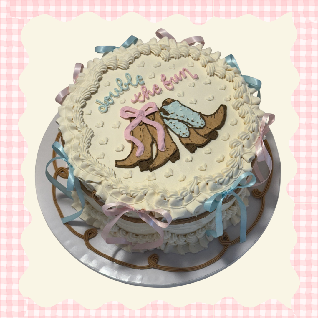 Round cake with white frosting, decorated with pastel pink, blue, and purple ribbons, and featuring a drawing of ballet shoes with a pink bow and the text "doubly the fun" on top.