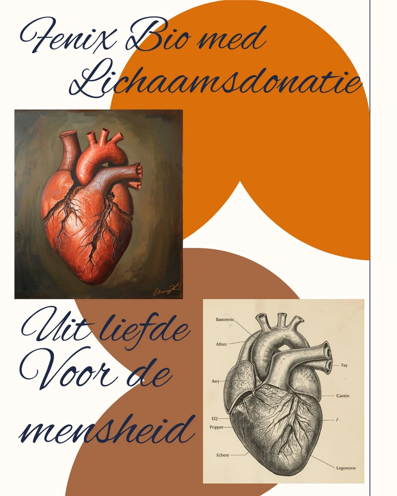 De liefde voor de mensheid

Compassie
Onbaatzuchtigheid
Universele verbondenheid

Dat zijn onze kernwaarden, vanuit deze overtuiging werken wij. 
Wilt u meer weten over lichaamsdonatie?
Wilt u dat wij komen spreken over onze missie ?

Kijk op de webs