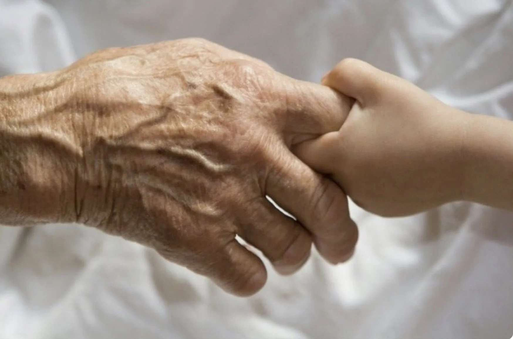 Uw Lichaam doneren aan de wetenschap in de palliatieve fase: wat u moet weten