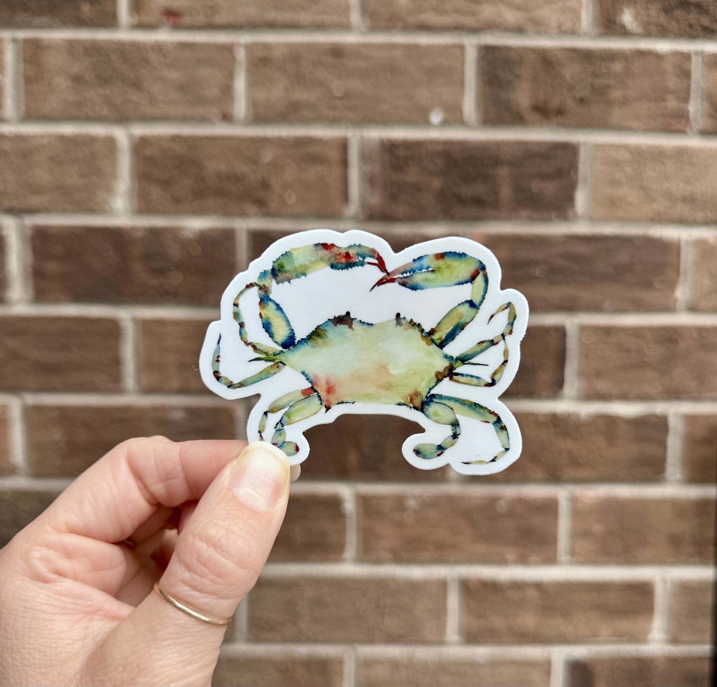 Green Crab Sticker