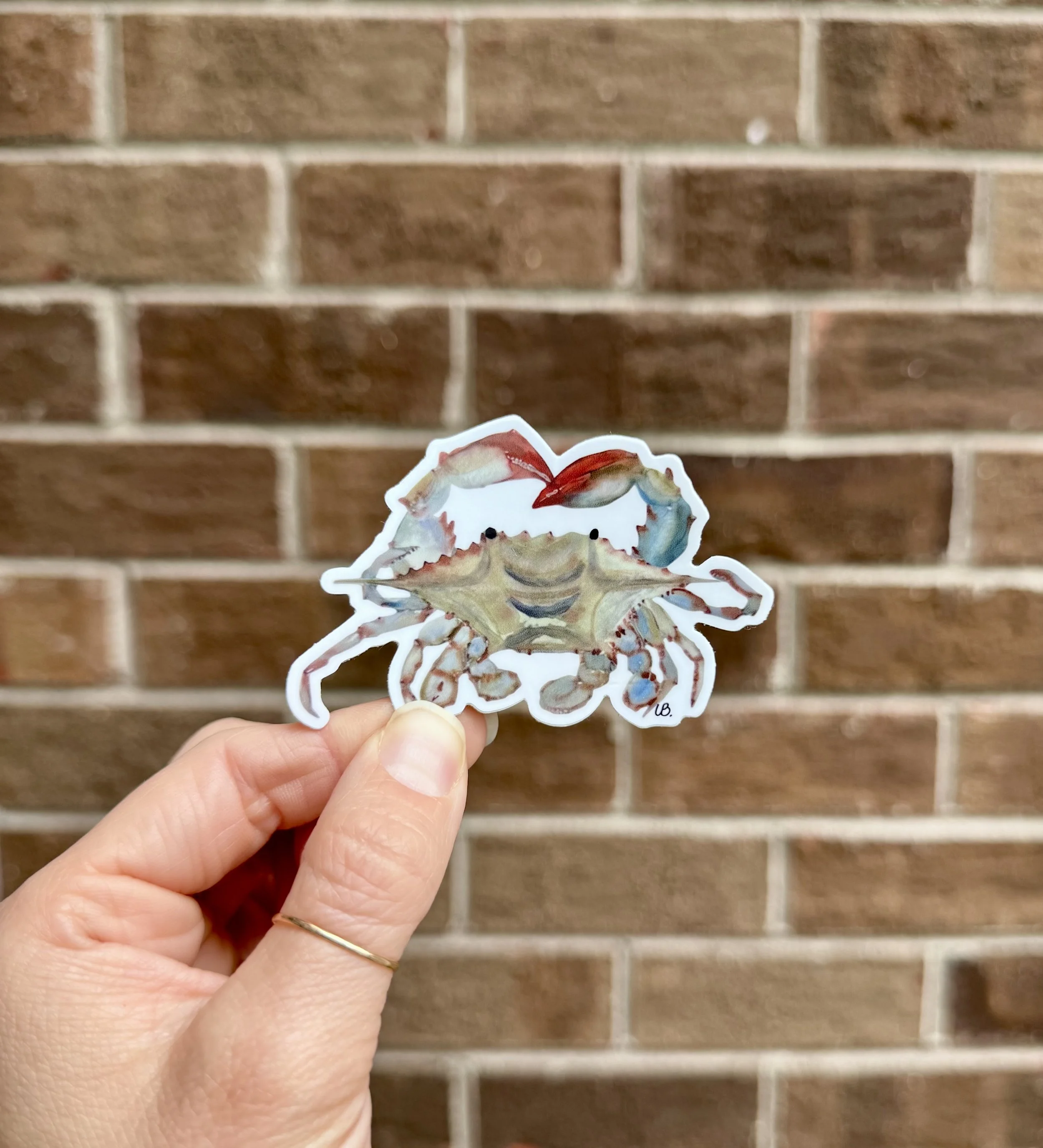 Coastal Blue Crab Sticker