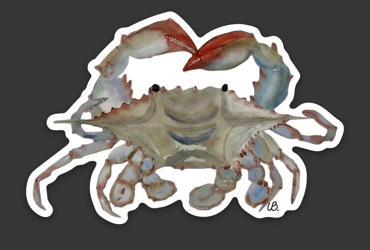 sticker. blue crab.jpg