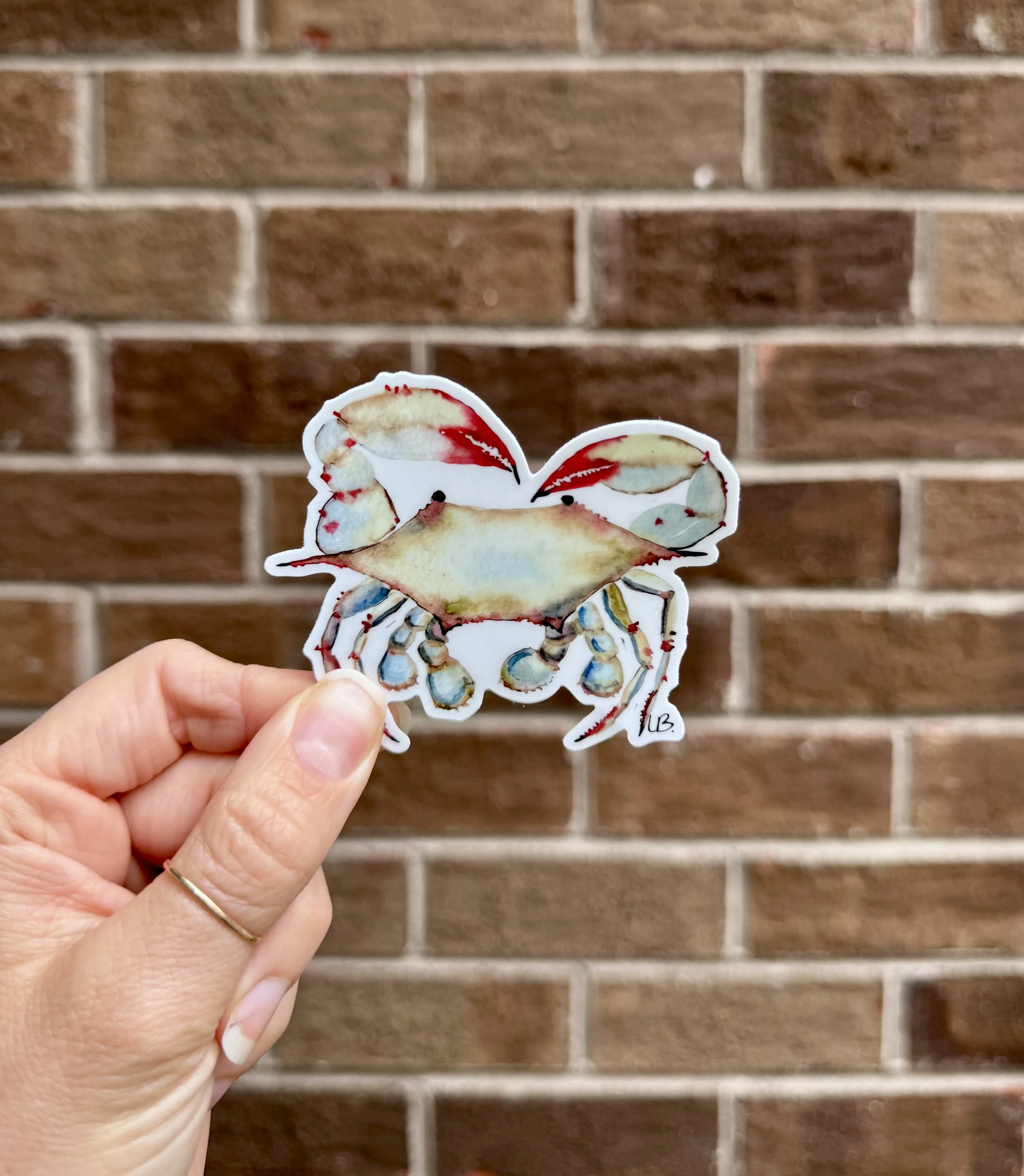 Blue Crab Sticker