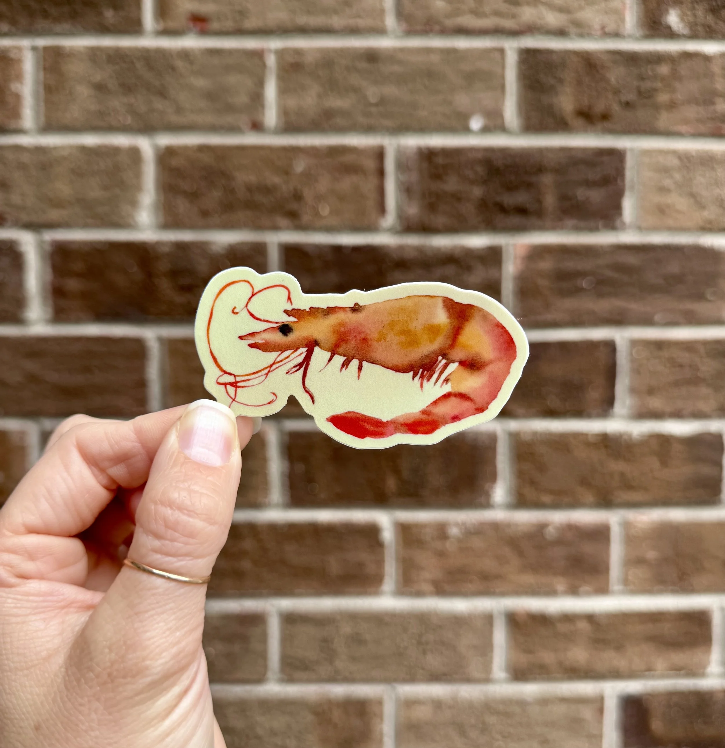 Shrimp Sticker