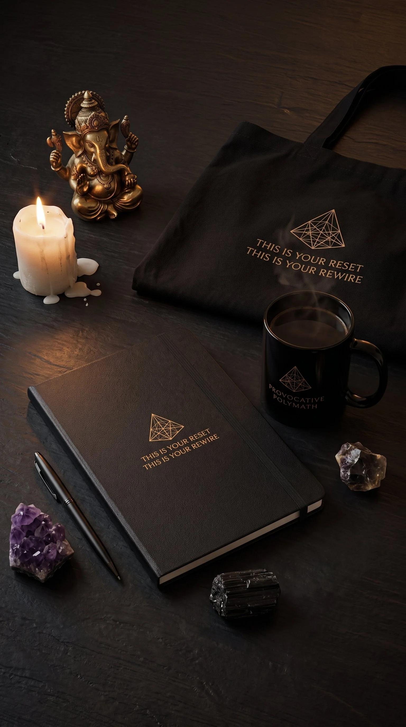 The Provocative Polymath Collection.jpeg