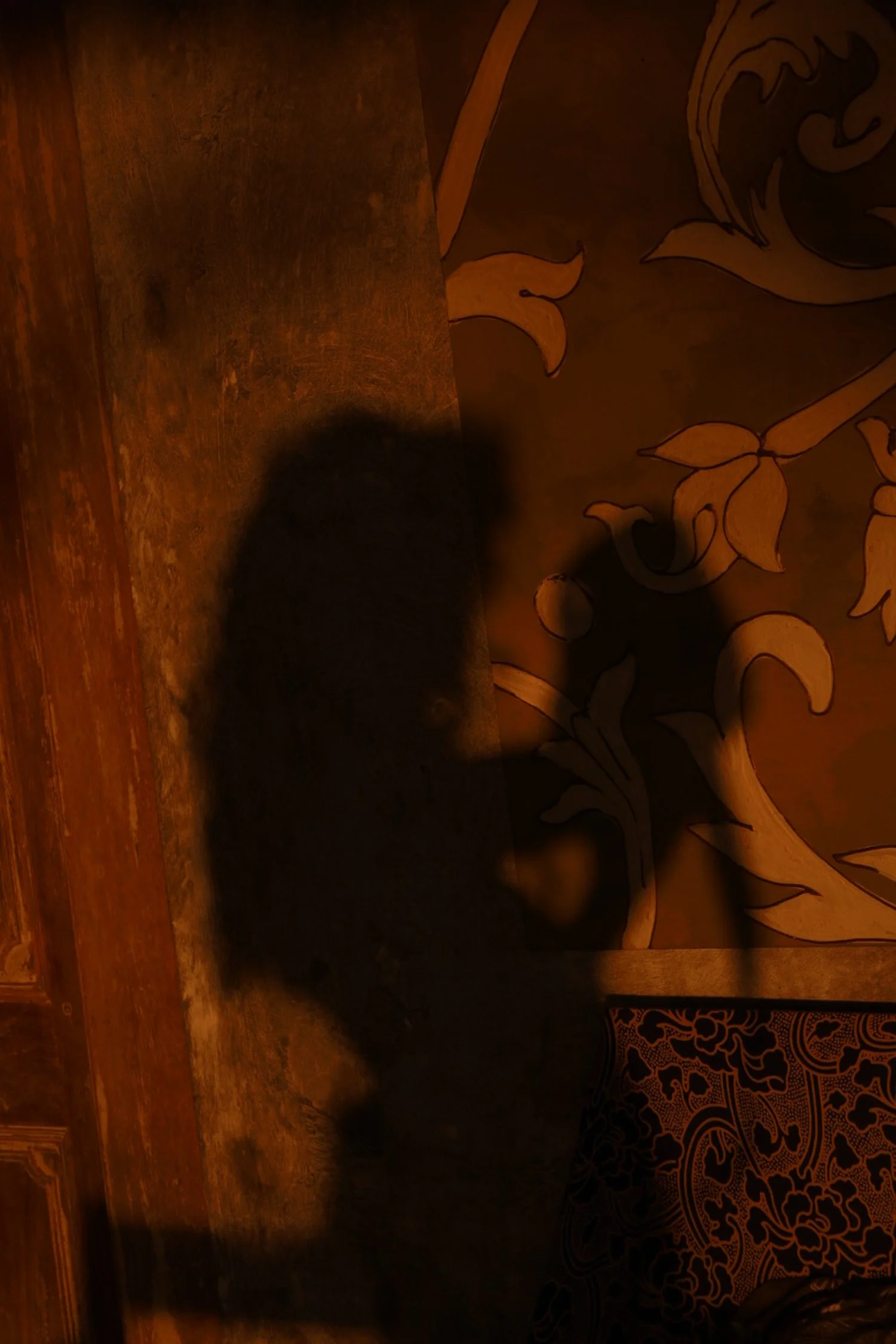A shadow of a dog cast on a wooden floor next to a decorative patterned carpet and wall with floral designs.