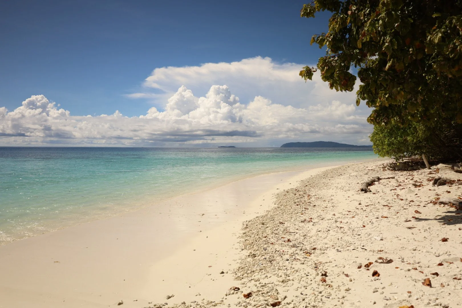A sandy beach with calm turquoise waters, green trees, and a partly cloudy blue sky.