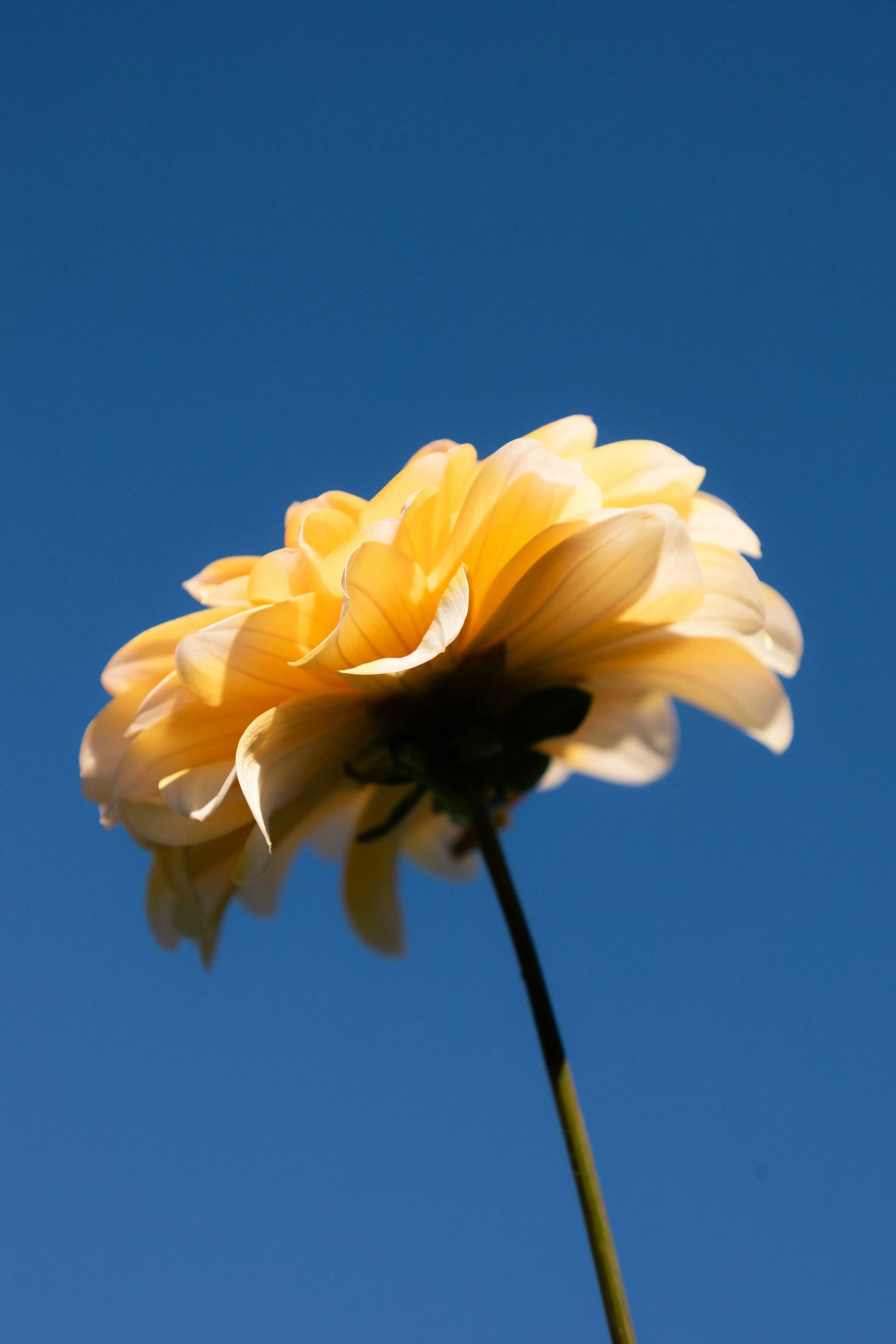 IMG_1830.jpeg