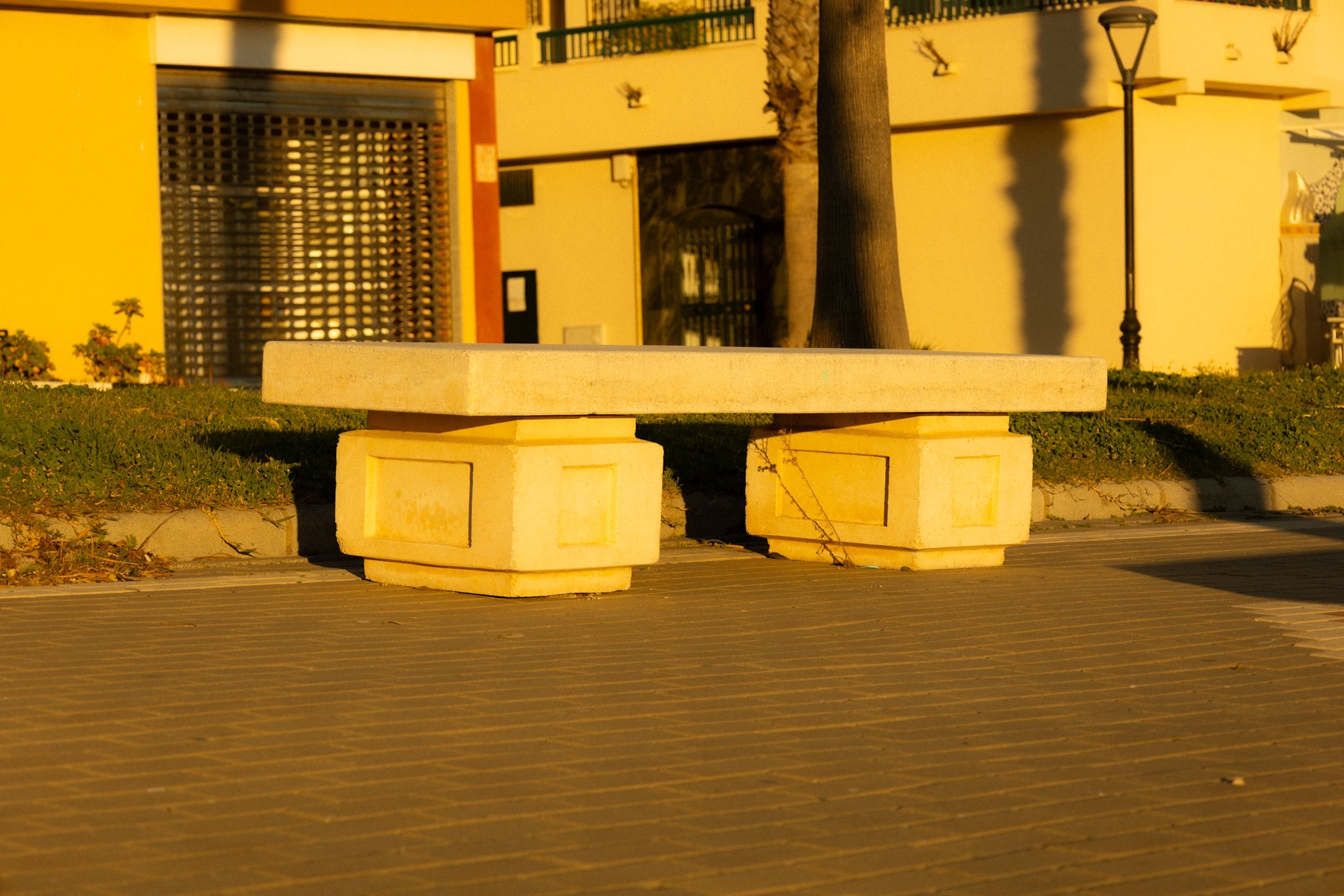 IMG_9440.jpeg