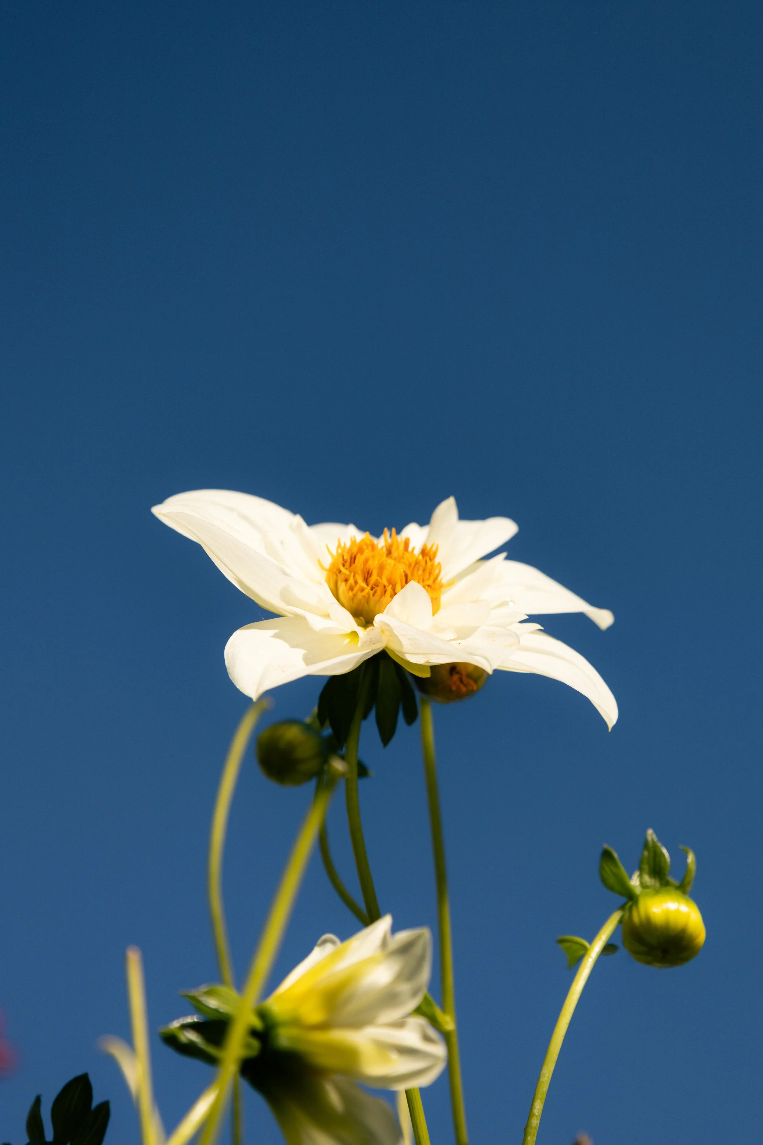 IMG_1842.jpeg
