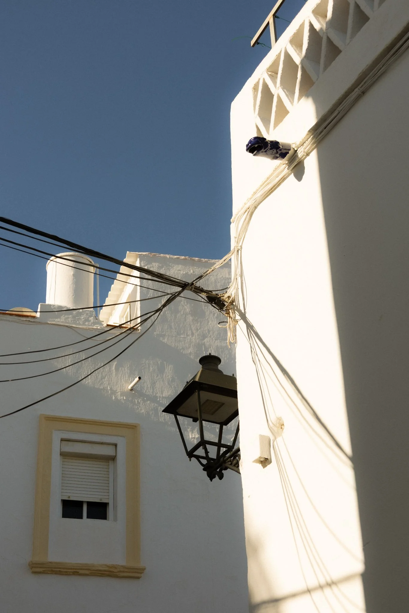 IMG_9424.jpeg