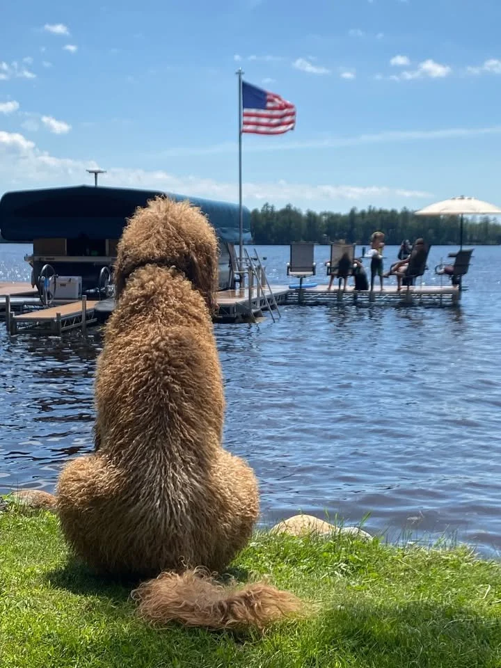 Make the most of your time on the water this year. Whether you are upgrading your current setup or starting fresh, now is the time to connect with a local dealer to ensure your waterfront is ready for summer.☀️

Call us today at (269) 303-5533!

#sum