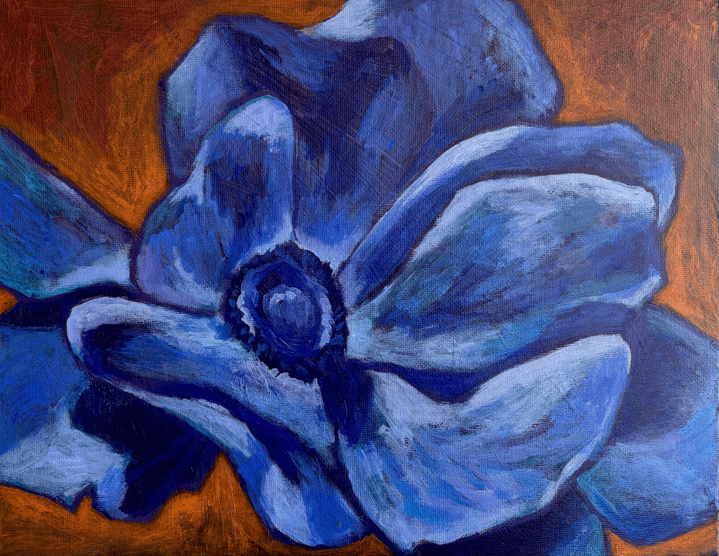 Anemone