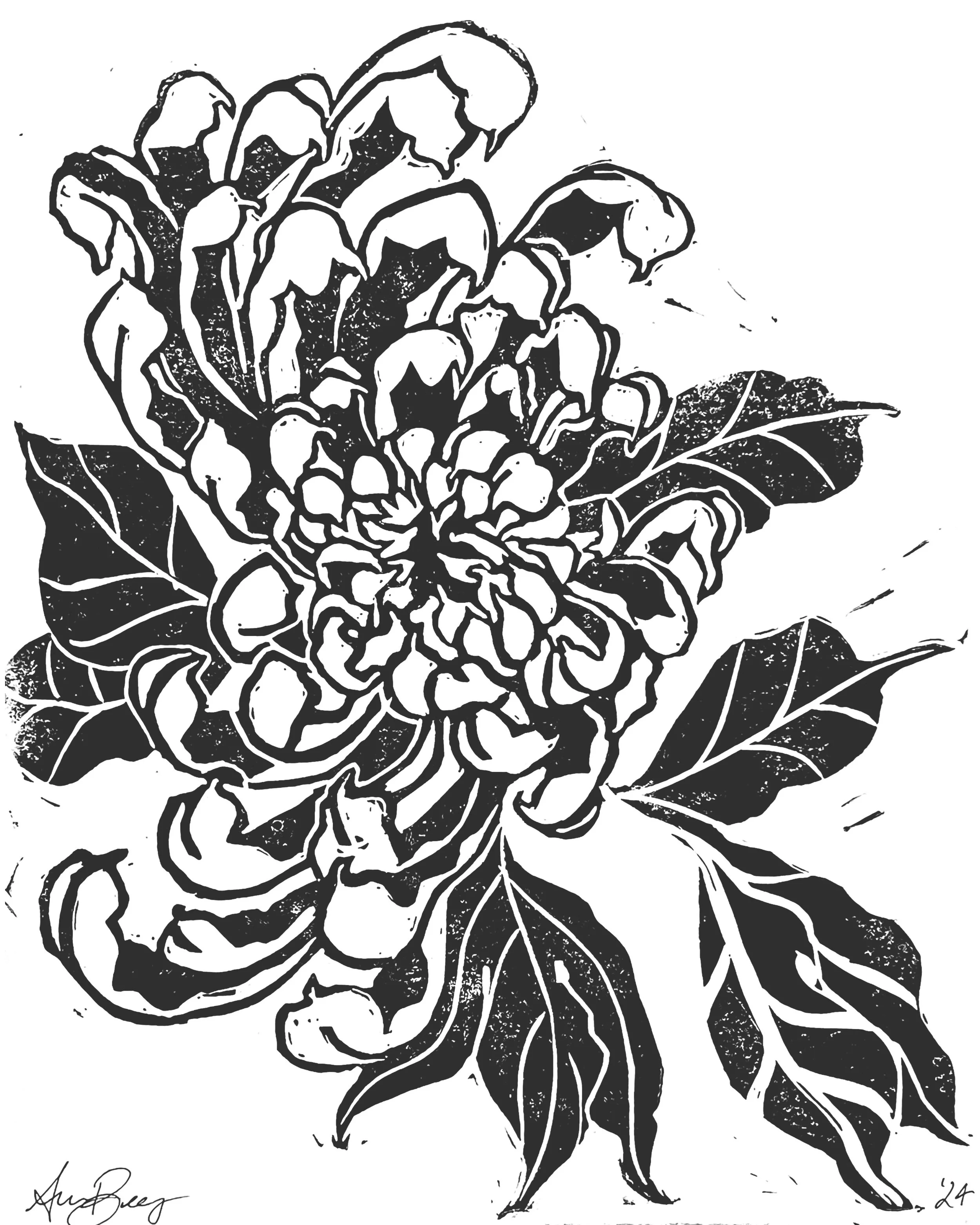 Chrysanthemum