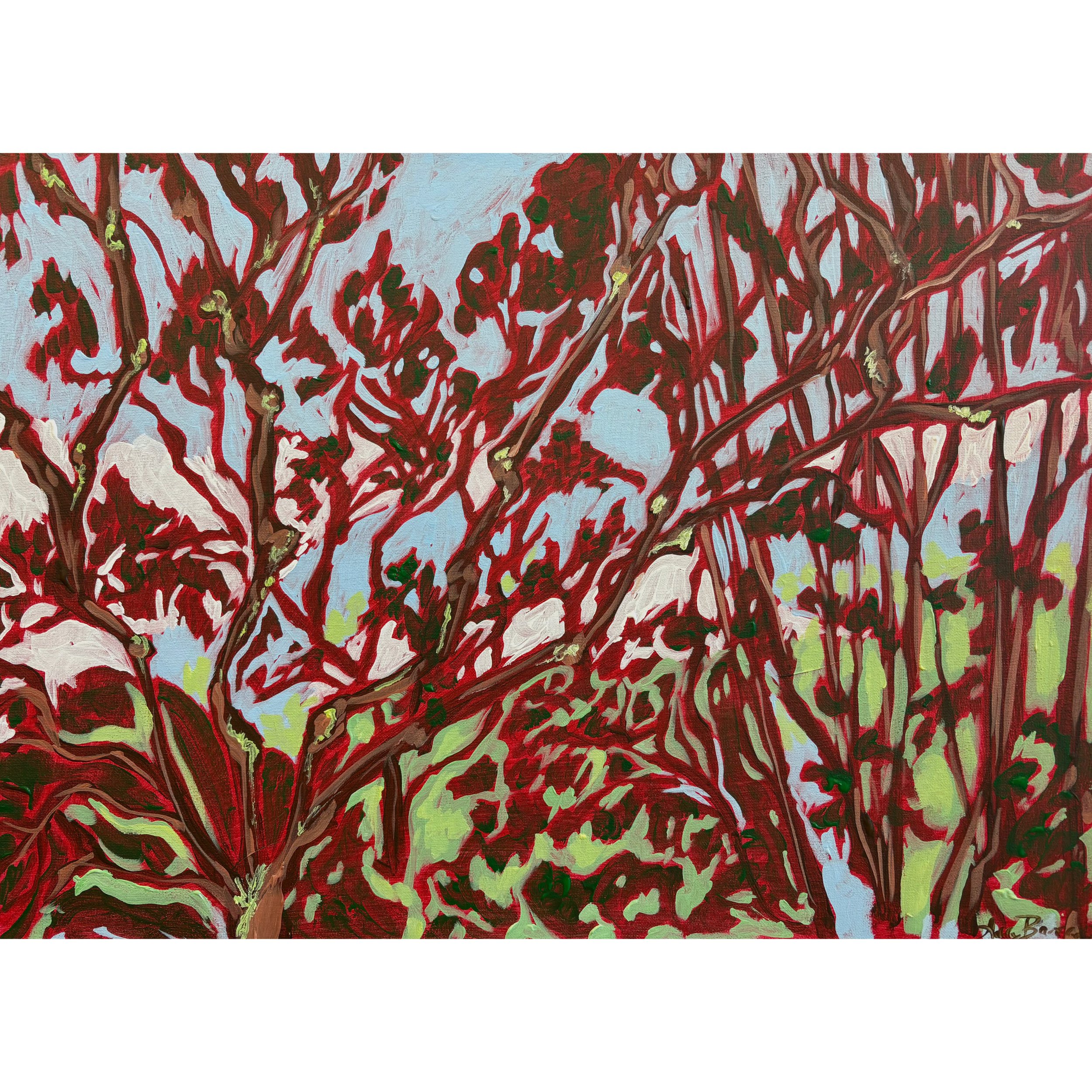 View From McDowell 31