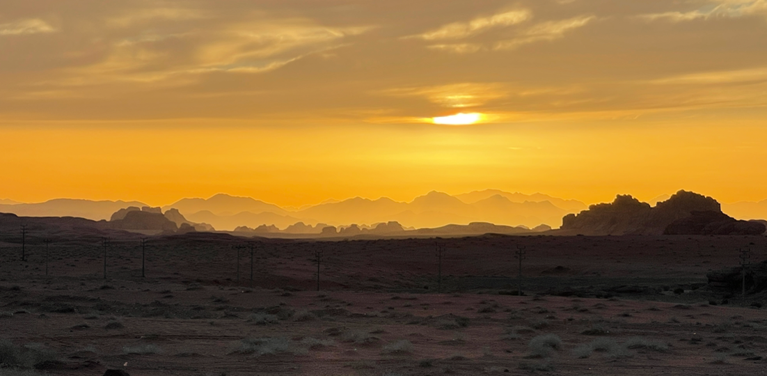 Case Study: Construction Logistics