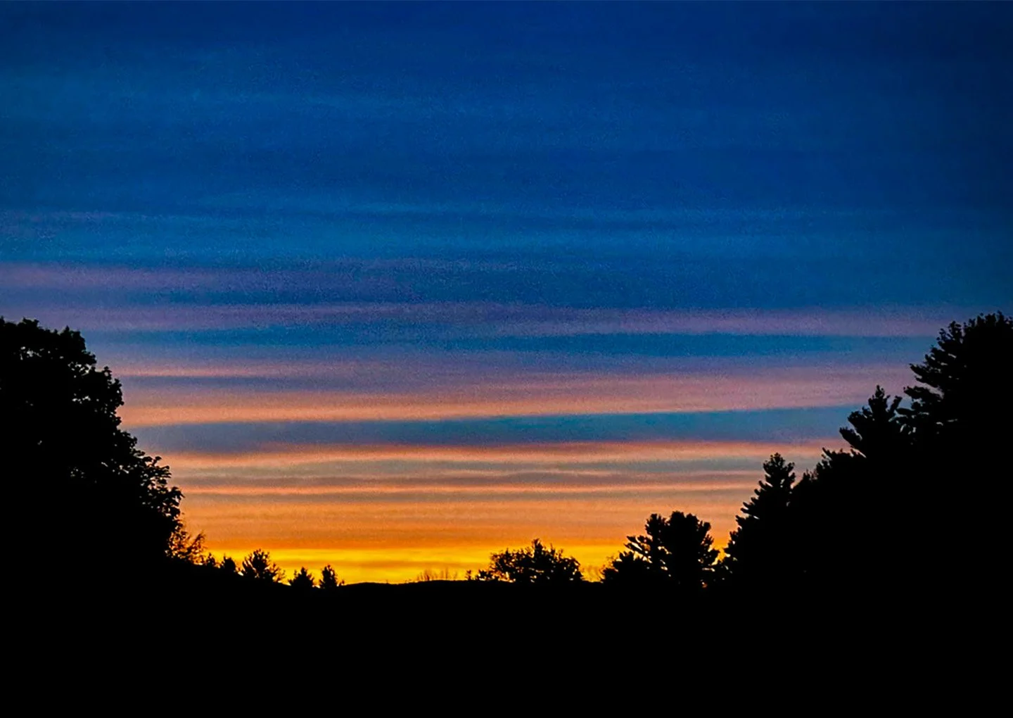 Looking north - 2026