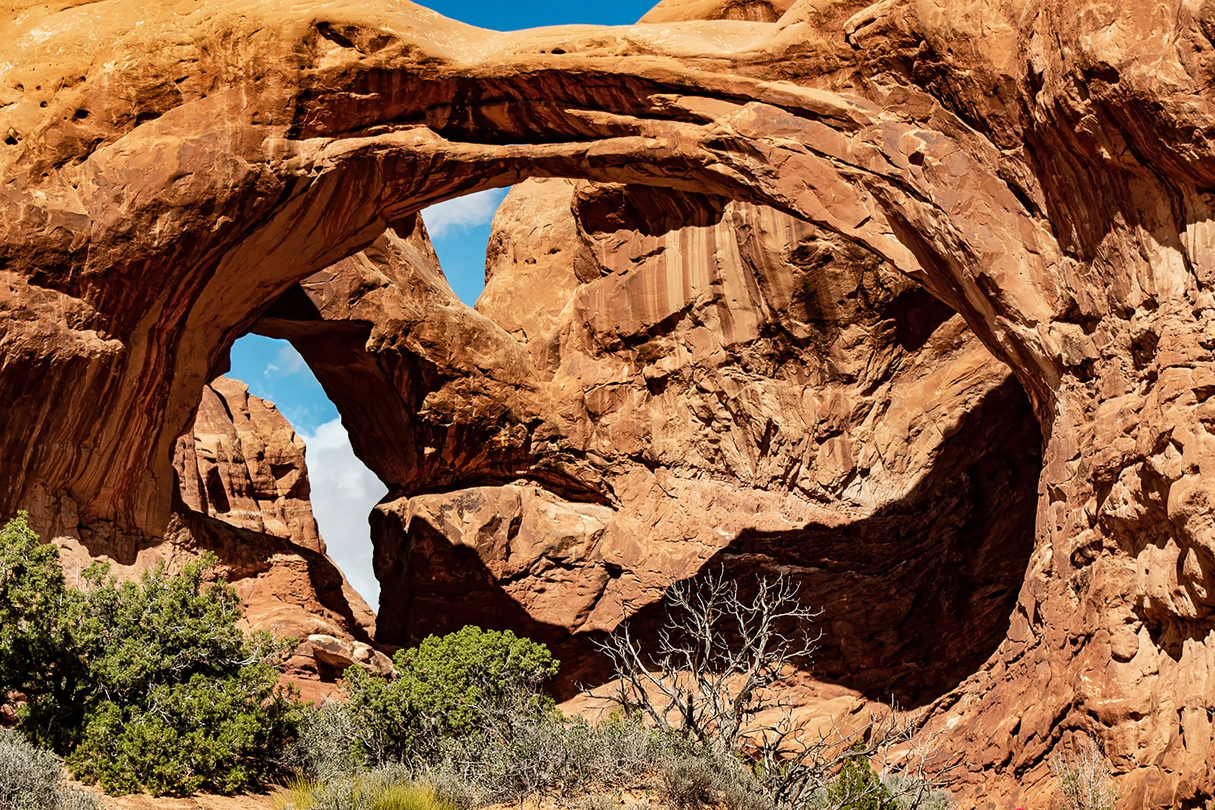 2021 - Arches, Moab, UT.