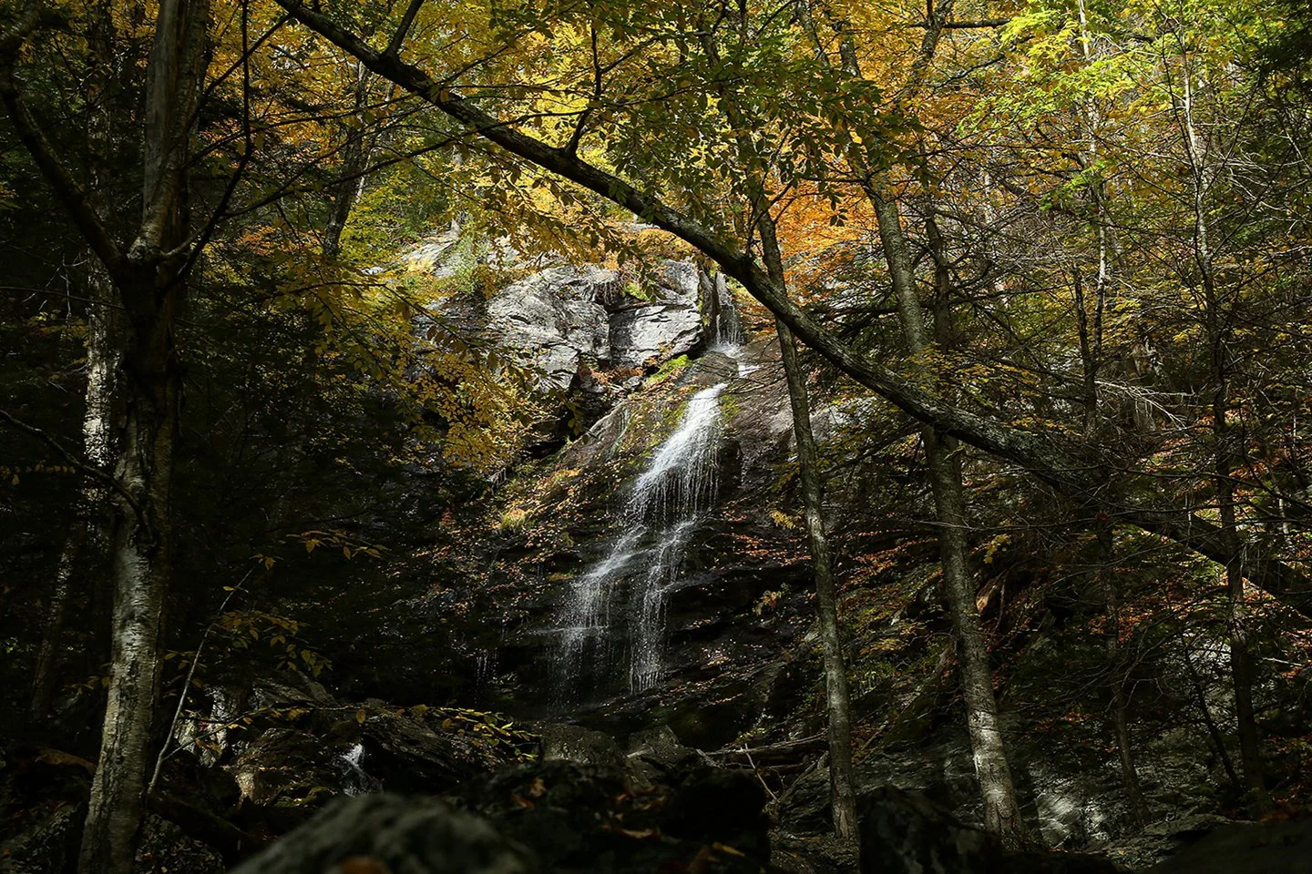2020 - Race Brook Falls, Sheffield, MA.