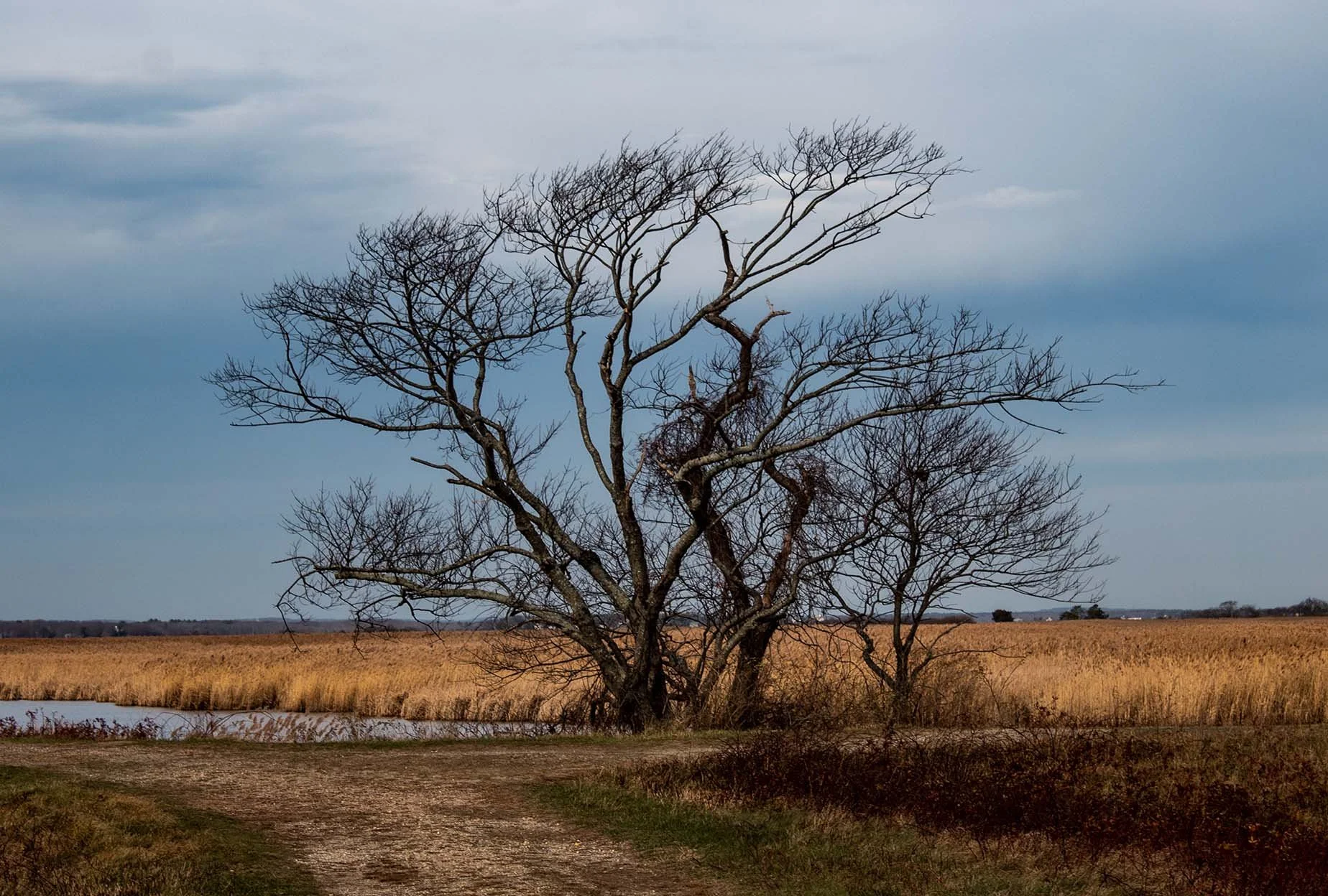 2021 - Plum Island State Park, MA