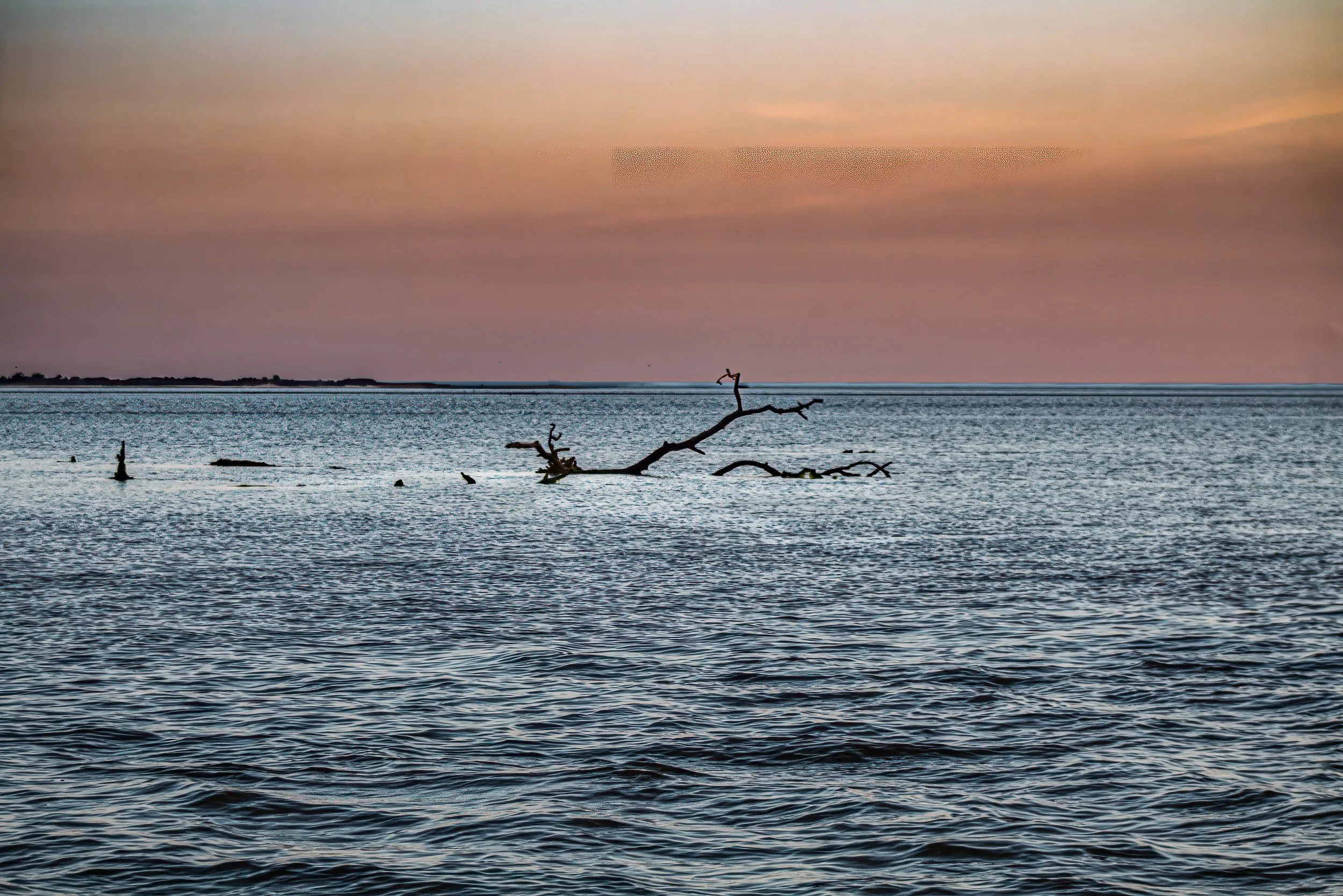 2020 - The Maryland Shore, MD.