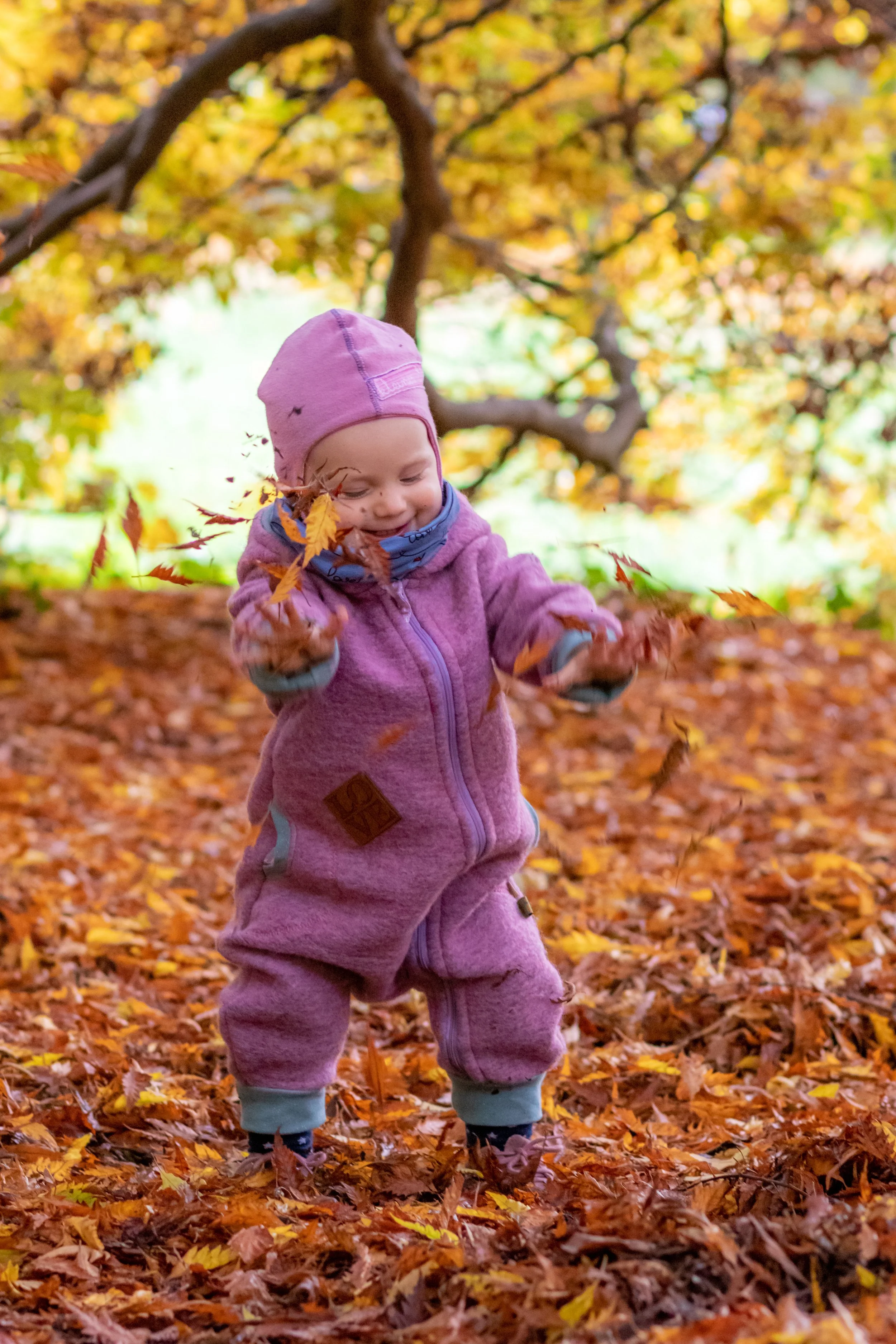 Ein kleines Kind in einer pinken Jacke und Mütze spielt im Herbstlaub in einem Wald.