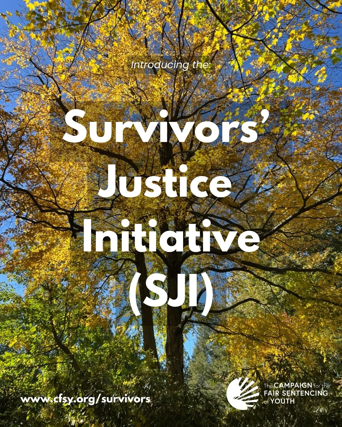 A national survey of crime survivors found a decisive majority prefer rehabilitation over punishment. Yet those survivors are often made to feel isolated by the system.&nbsp;

Coming together, survivors of serious youth harm are creating community th