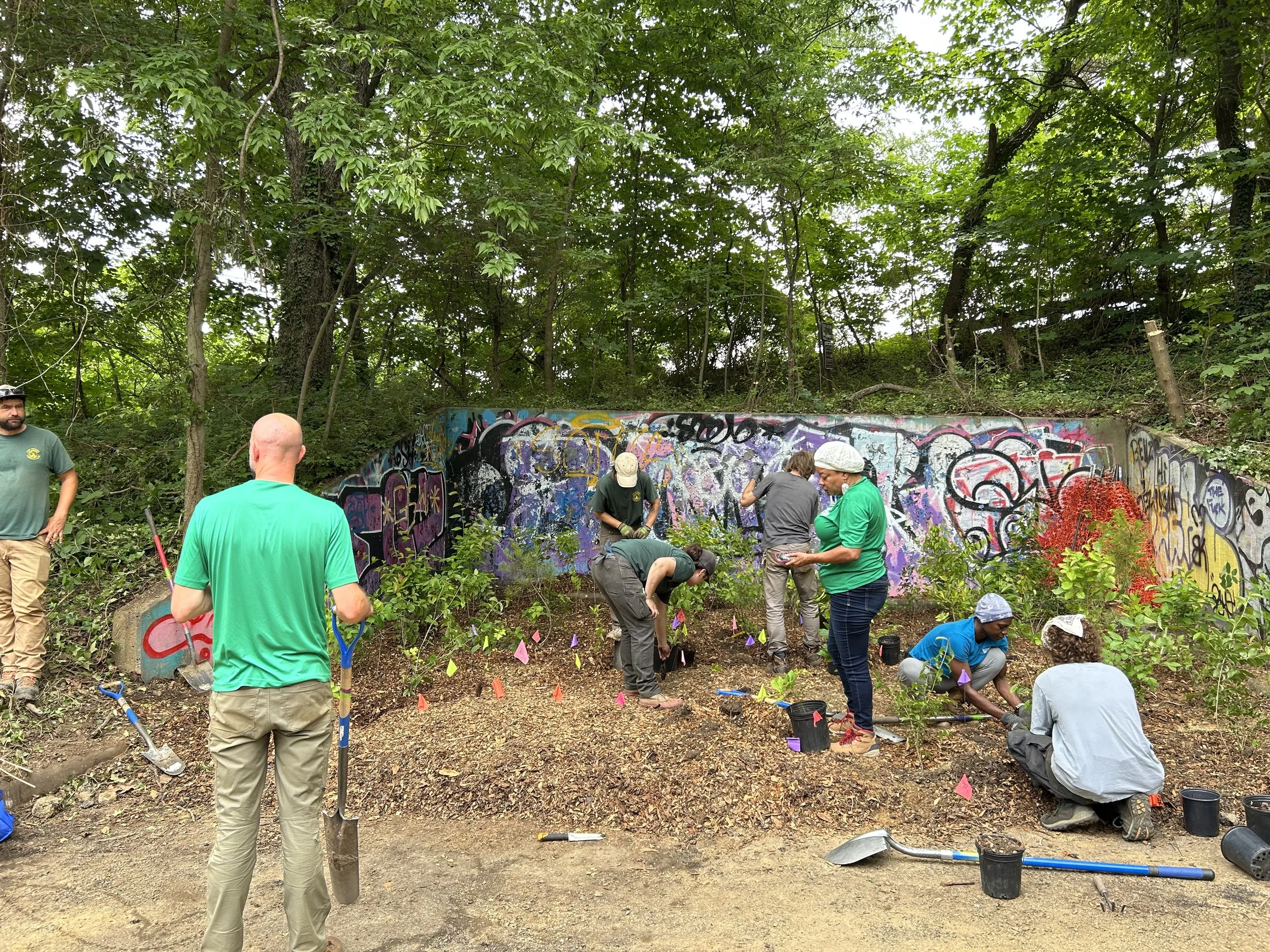 22nd Street Depaving Project — Cool The City