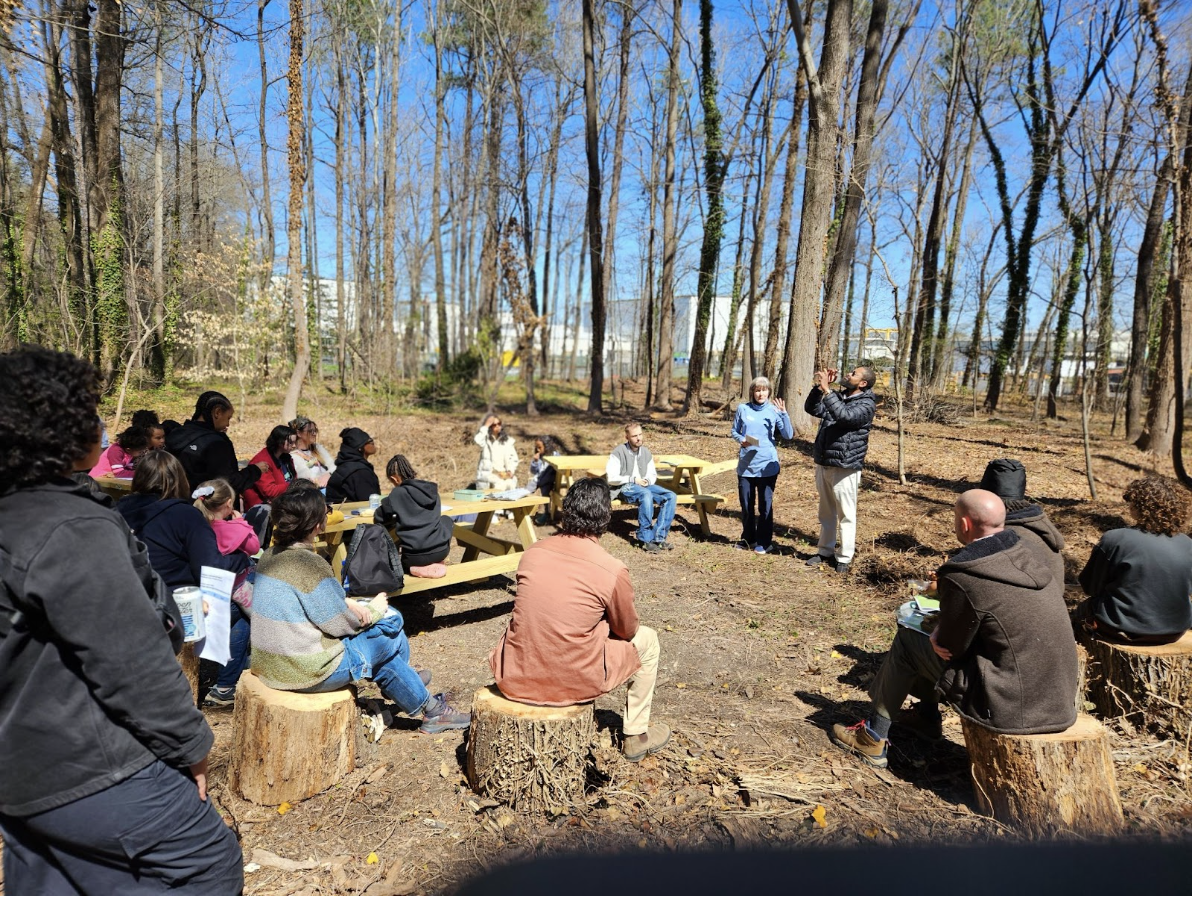 International Day of Forests