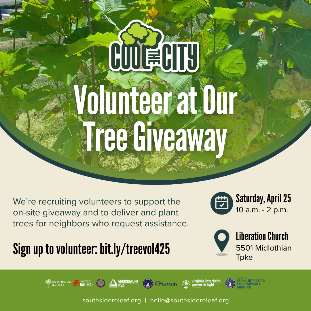 Volunteer at the Cool the City Tree Giveaway