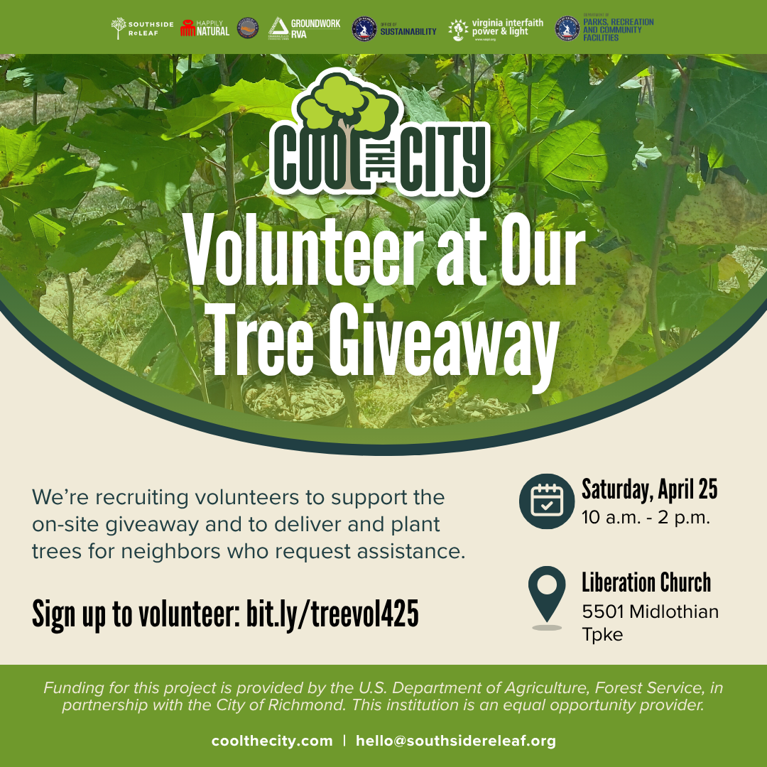 Volunteer at the Cool the City Tree Giveaway