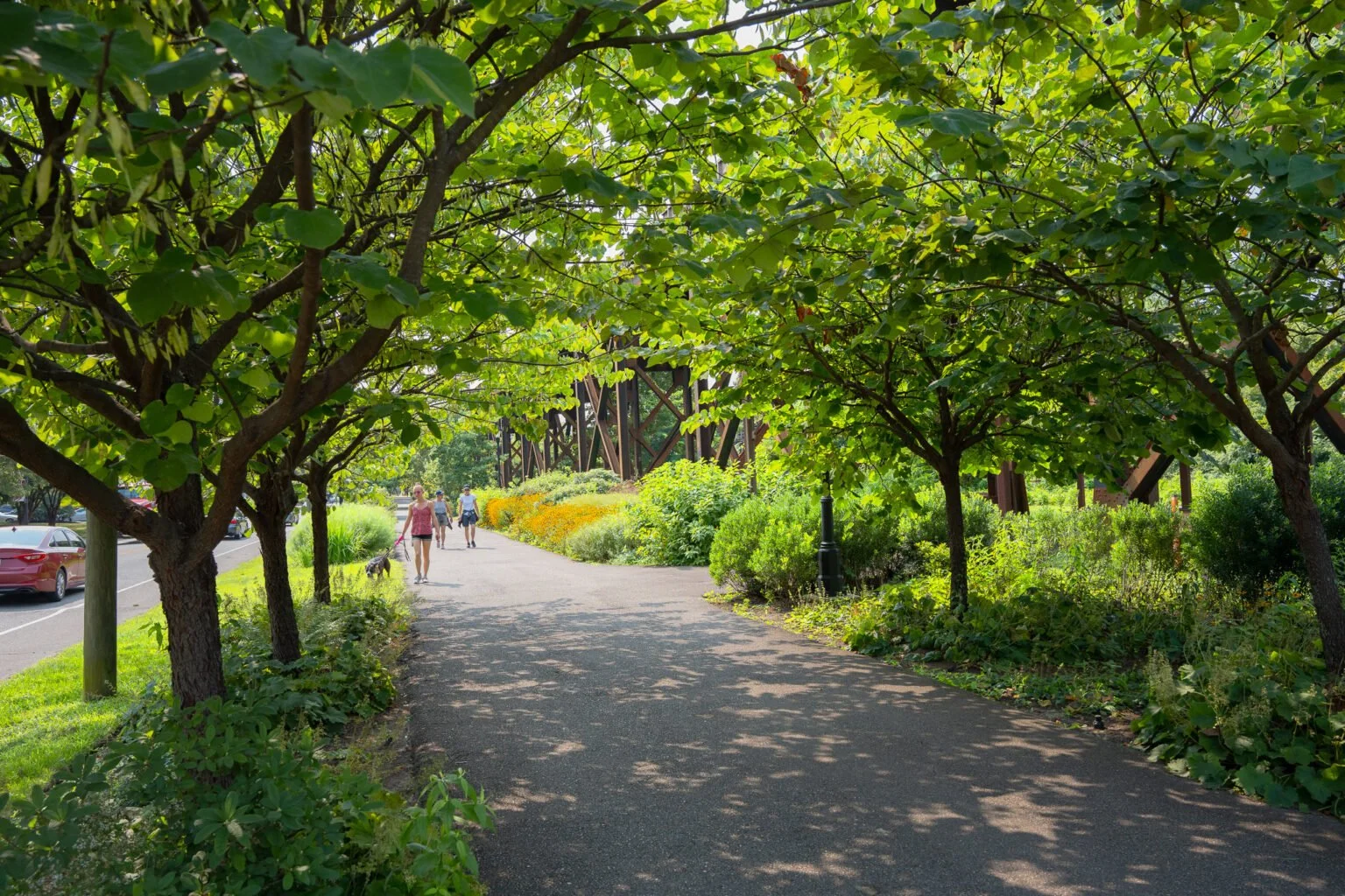 In the News: Trees take root as Virginia’s frontline defense against urban heat