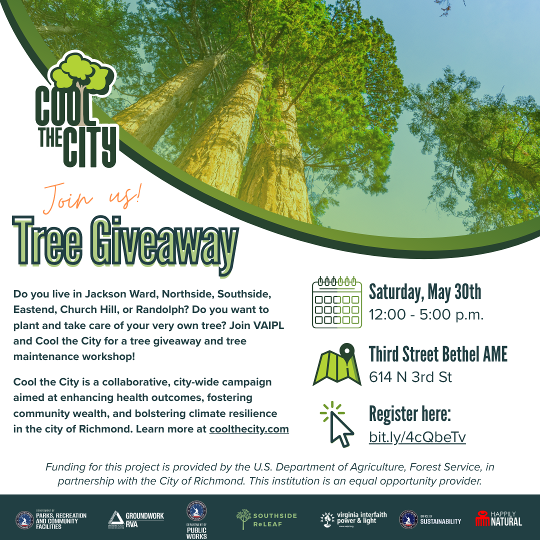 Third Street Bethel AME Tree Giveaway