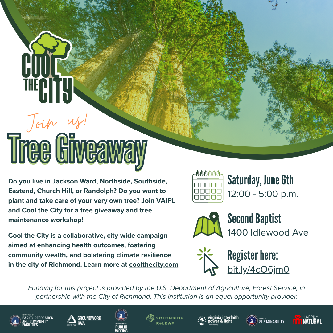 Second Baptist Church Tree Giveaway