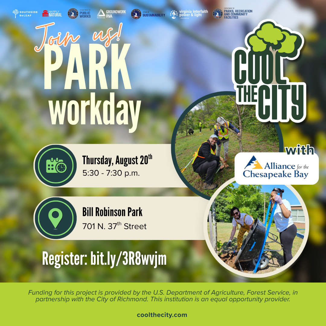 Community Tree Care Day - Bill Robinson Park