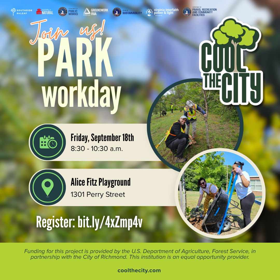 Community Tree Care Day - Alice Fitz Playground