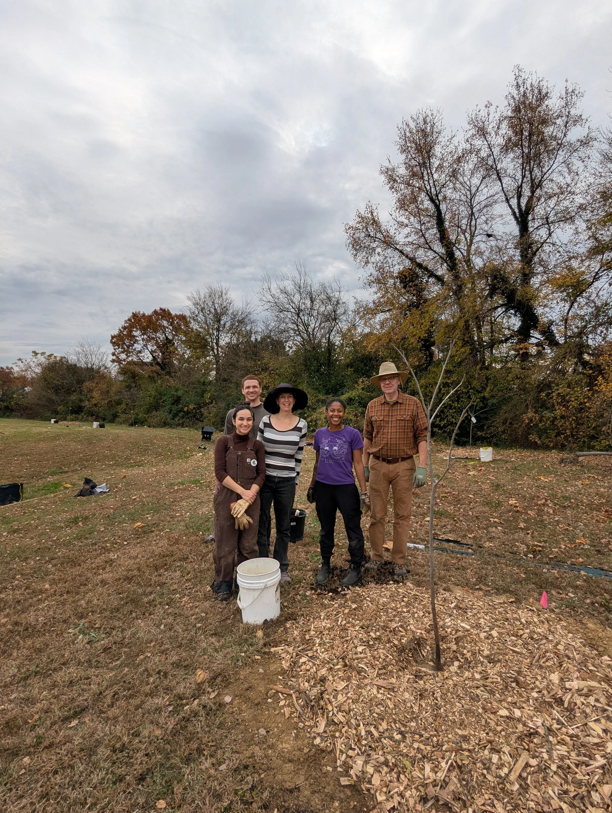 A group of five volunteers pose with a young tree they just planted at Boushall Middle School on a cloudy day.