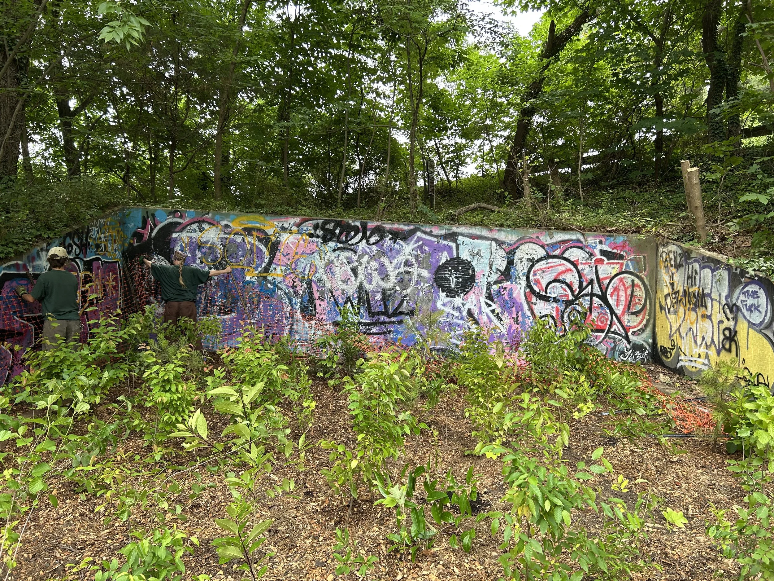 22nd Street Depaving Project