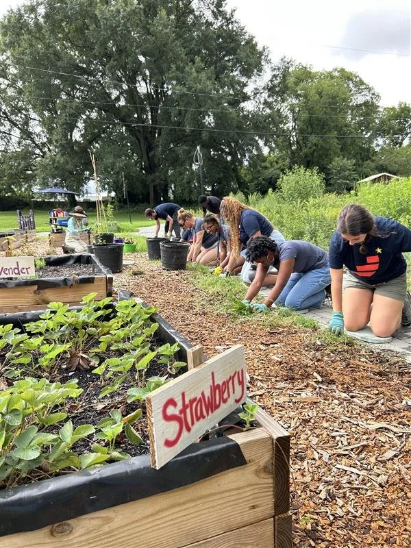 Hillside Mini-Farm Day of Service